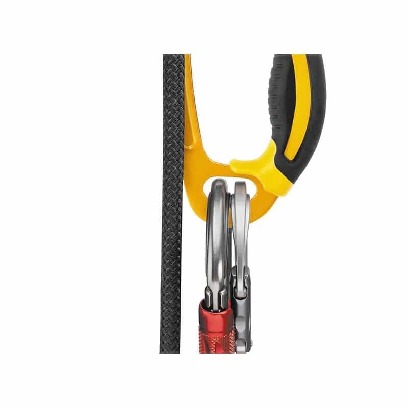 petzl ascension